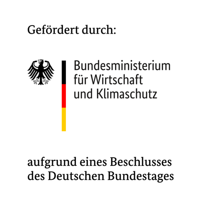 Abschlussbericht und Verffentlichung